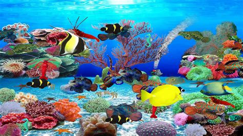 Download  Fish! 1.0 for Android .